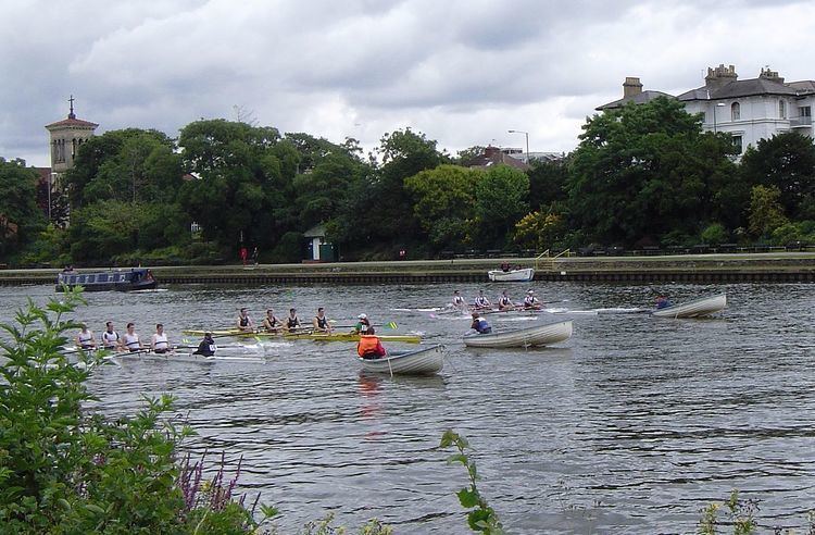 Coxed four