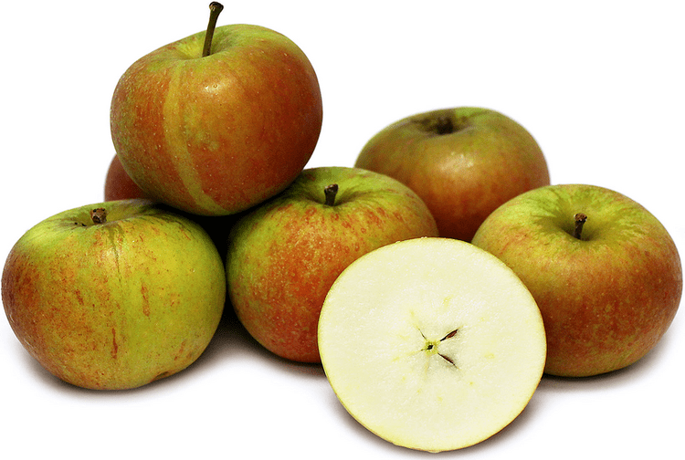 Cox's Orange Pippin Cox39s Orange Pippin Apples Information and Facts
