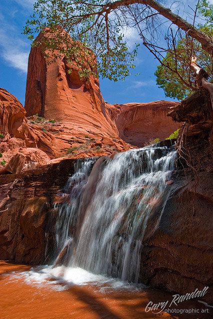 Coyote Gulch wwwwildbackpackercomwpcontentuploads201105