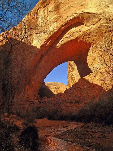 Coyote Gulch Coyote Gulch Wild Backpacker