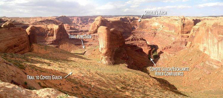 Coyote Gulch Coyote Gulch Wild Backpacker