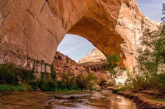 Coyote Gulch Backpacking Coyote Gulch in Grand StaircaseEscalante