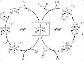 Crabtree's catalyst Untitled Document