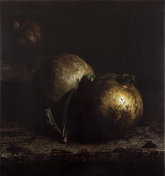 Craigie Horsfield Made in Spain Nature Morte Photo Works by Craigie