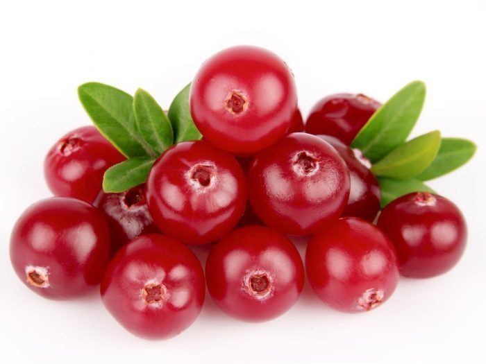 Cranberry 15 Amazing Benefits of Cranberry Juice Organic Facts
