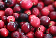 Cranberry Cranberry Wikipedia