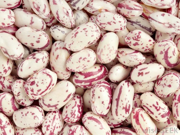 Cranberry bean What are Cranberry Beans with pictures