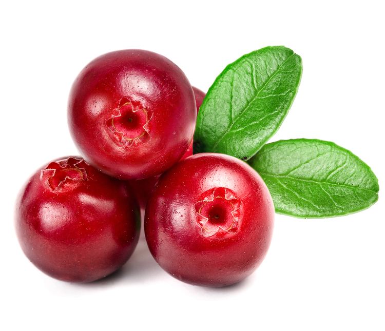 Cranberry cranberriesjpg