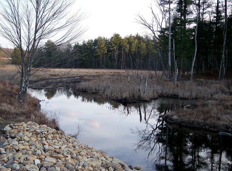 Cranberry River (Massachusetts)