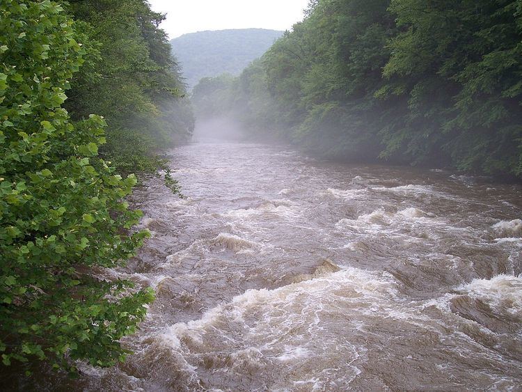 Cranberry River (West Virginia) httpsuploadwikimediaorgwikipediacommonsthu