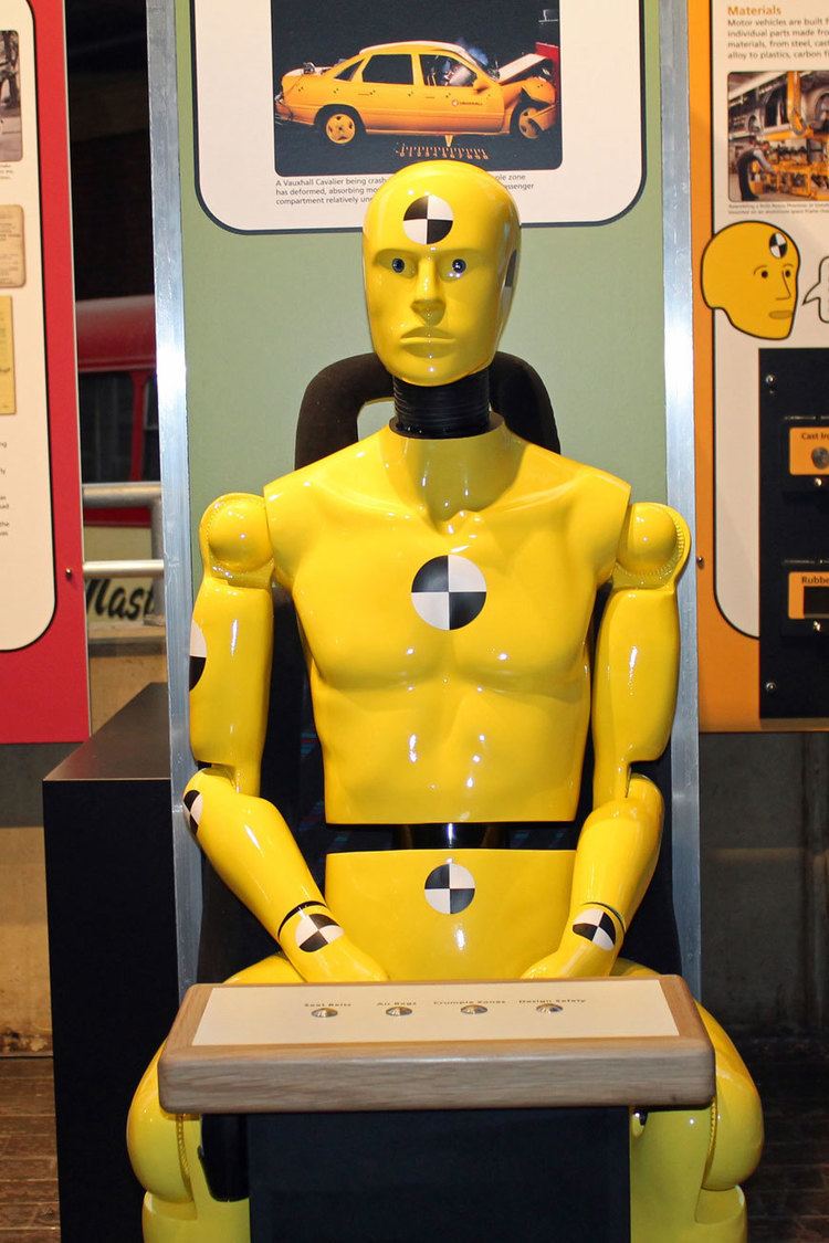 Crash Test Dummy Synonym