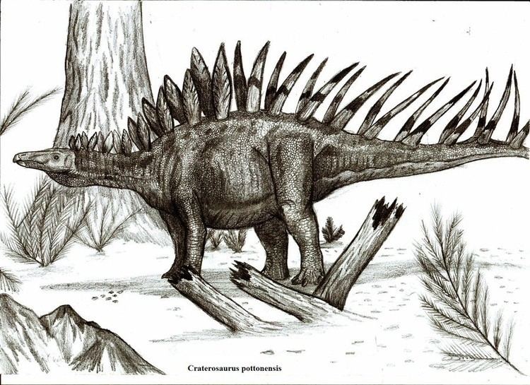 Craterosaurus imagesdinosaurpicturesorgcraterosauruspottonen