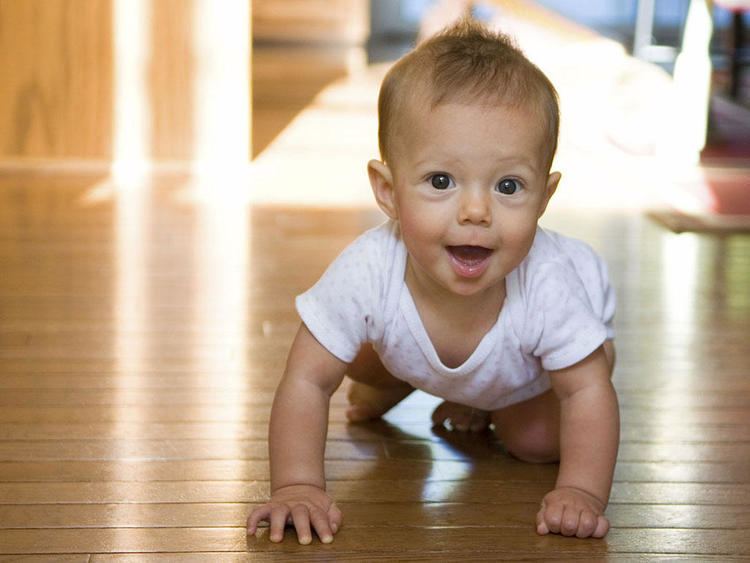 Crawling (human) Baby milestone Crawling BabyCenter