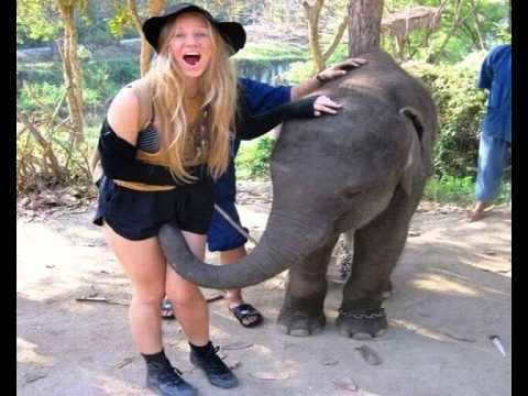 Crazy Elephant Gimme Gimme Good Lovin Crazy Elephant YouTube
