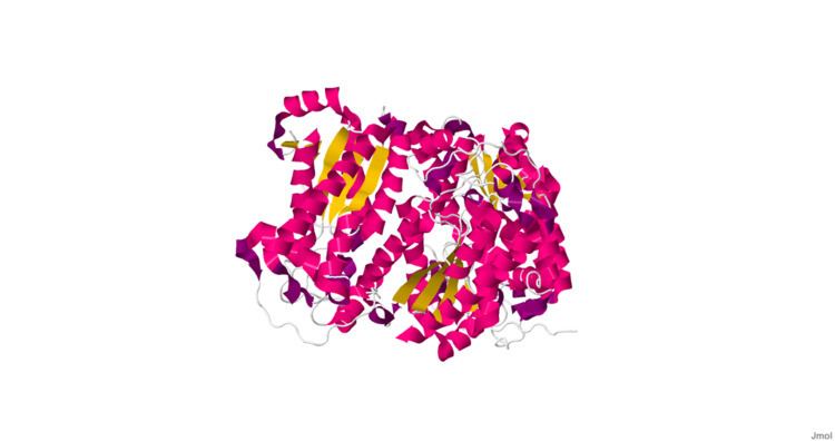 Creatininase