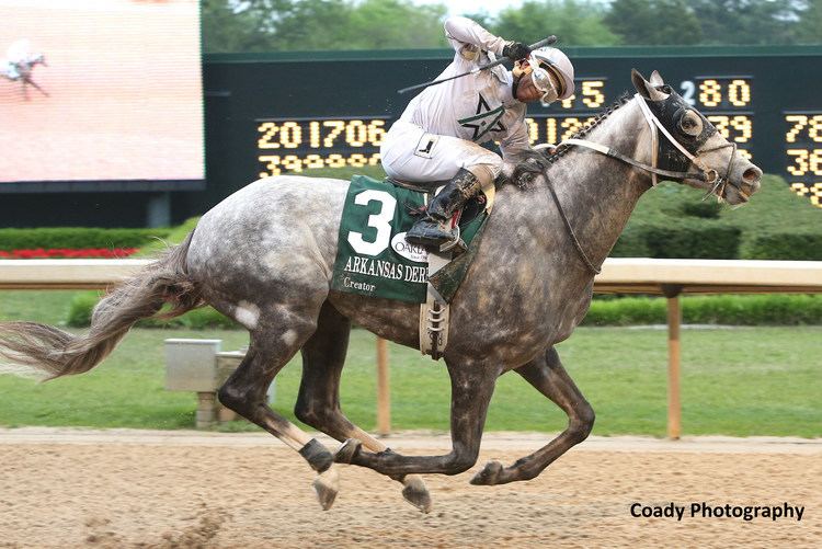 Creator (horse) Creator LastToFirst In Arkansas Derby Horse Racing News