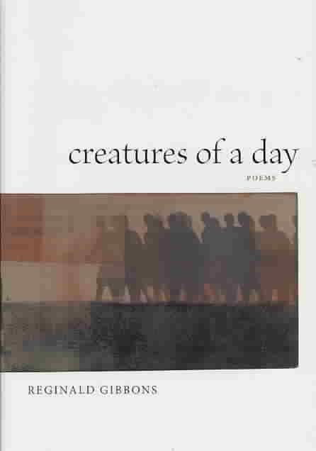 Creatures of a Day t0gstaticcomimagesqtbnANd9GcSRYDnaUxW8WxWiR