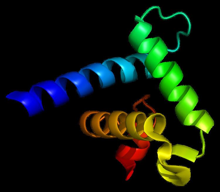 CREB-binding protein