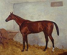 Cremorne (horse) httpsuploadwikimediaorgwikipediacommonsthu