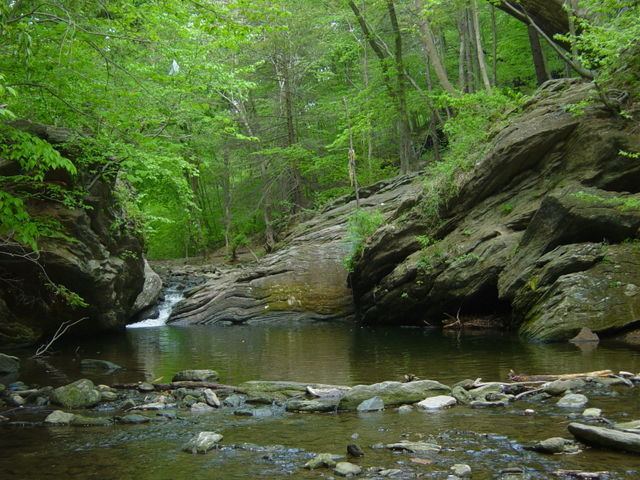 Cresheim Creek