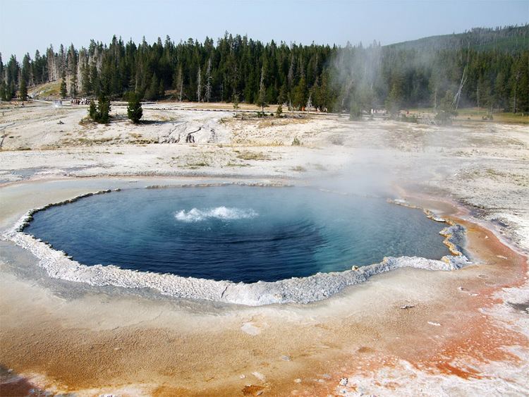 Crested Pool Steam above Crested Pool Upper Geyser Basin Yellowstone National