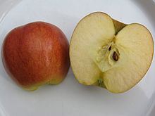 Creston (apple) httpsuploadwikimediaorgwikipediacommonsthu