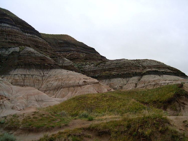 Cretaceous–Paleogene boundary
