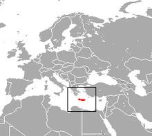 Cretan shrew httpsuploadwikimediaorgwikipediacommonsthu