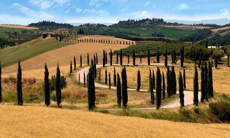 Crete Senesi Itinerary Crete Senesi to discover the countryside of Siena in Tuscany