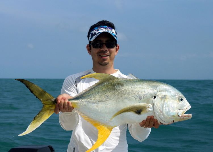 Crevalle jack How to Catch Jack Crevalle Tips for Fishing for Jack Crevalle
