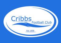 Cribbs F.C. httpsuploadwikimediaorgwikipediaenthumbd