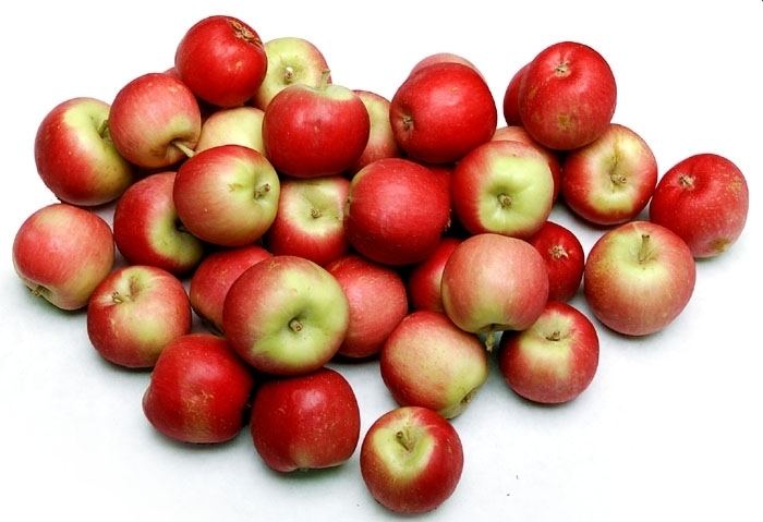Crimson Gold (apple) Organic Crimson Gold Apples