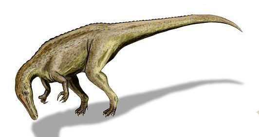 Cristatusaurus Cristatusaurus Wikiwand
