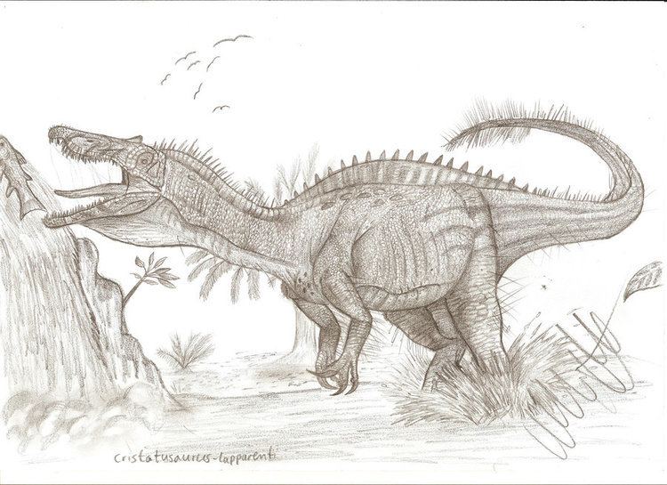Cristatusaurus cristatusaurus DeviantArt