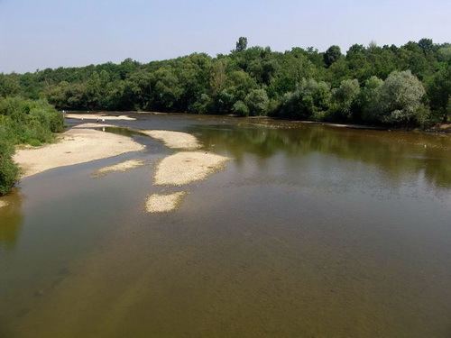 Crișul Negru (river) wwwapebihorrouploadarticol196capalna20cris