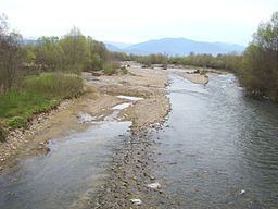 Crișul Pietros River httpsuploadwikimediaorgwikipediacommonsthu