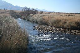 Crocodile River (Mpumalanga) httpsuploadwikimediaorgwikipediacommonsthu