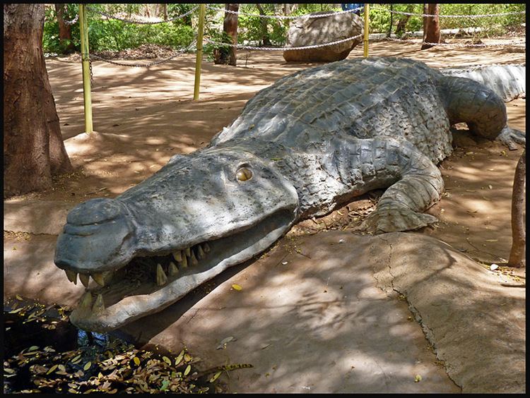 Crocodylidae Crocodylidae a photo from Gujarat West TrekEarth