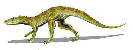 Crocodyliformes Stammesgeschichte der Krokodile Wikiwand