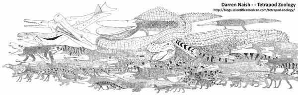Crocodylomorpha The Crocopocalypse is upon us Scientific American Blog Network