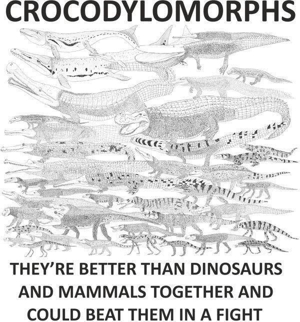 Crocodylomorpha blogsscientificamericancomtetrapodzoologyfile