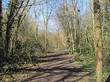 Crofton Wood httpsuploadwikimediaorgwikipediacommonsthu