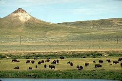 Crook County, Wyoming httpsuploadwikimediaorgwikipediacommonsthu