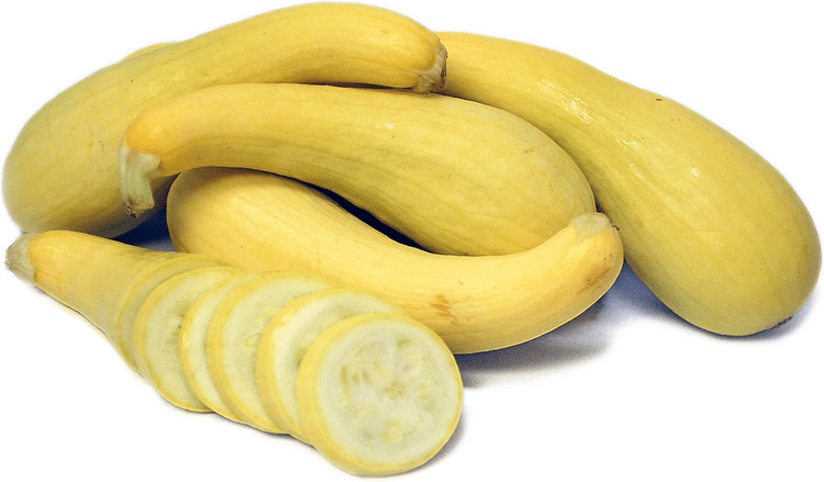 Crookneck squash Yellow Crookneck Squash Information Recipes and Facts