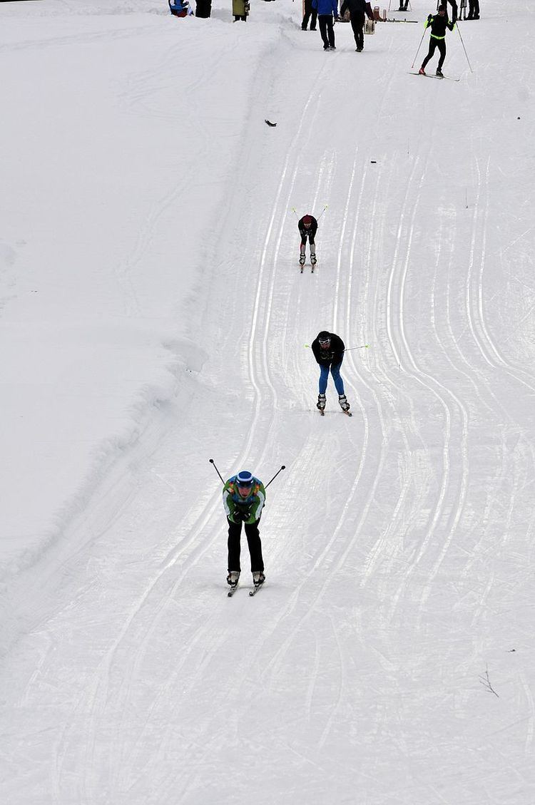 Cross-country skiing at the 2012 Winter Youth Olympics