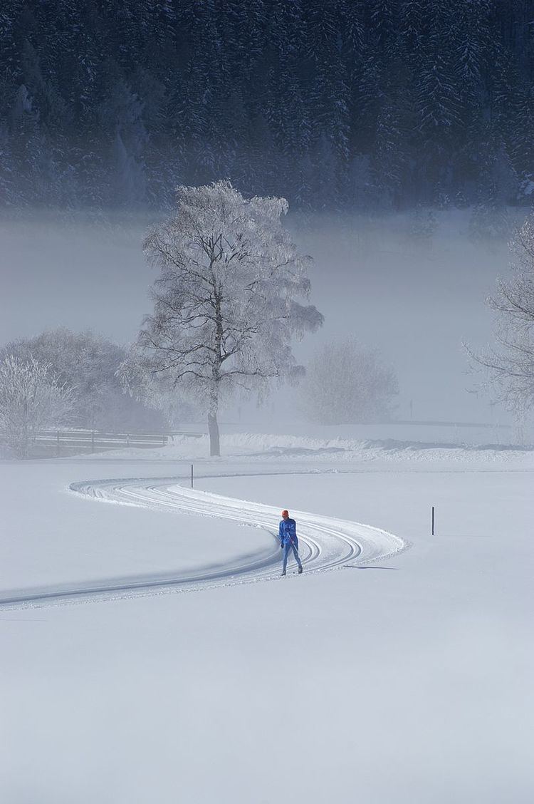 Cross-country skiing trail