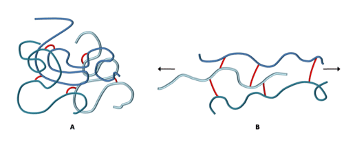 Cross-link Crosslinking SoftMatter