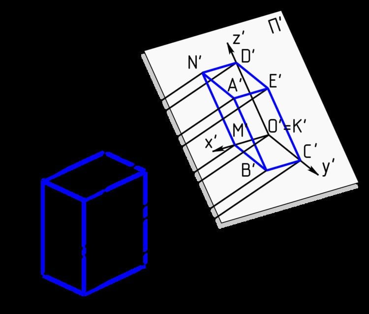 Cross section (geometry)