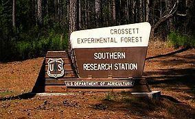 crossett experimental forest wma