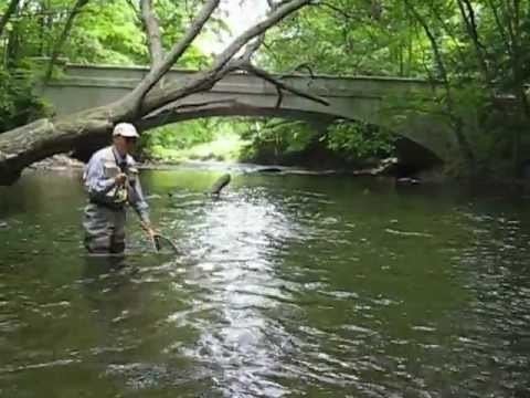 Croton River httpsiytimgcomviOCgLFHdkSIIhqdefaultjpg